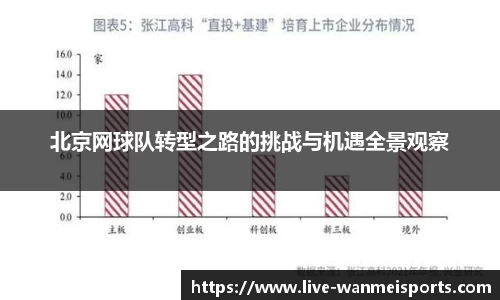 北京网球队转型之路的挑战与机遇全景观察